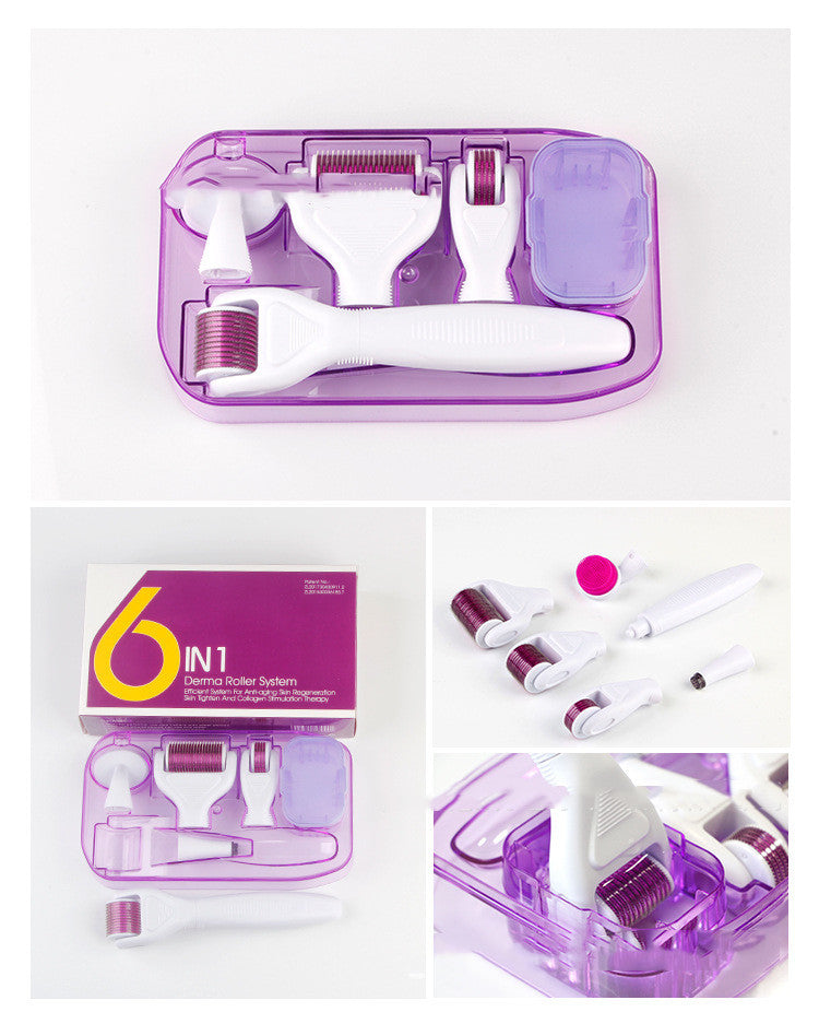 Derma Roller 0.25mm — Kit Microneedling Visage